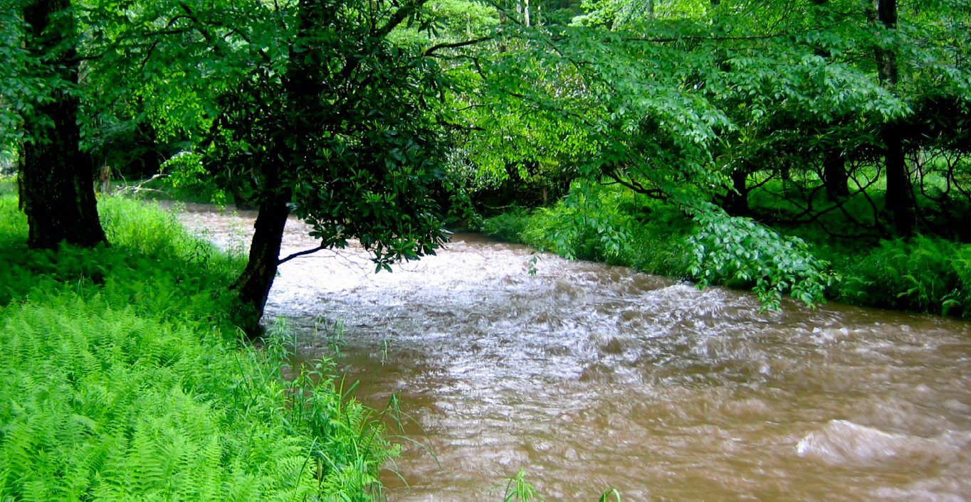 Laurel Fork, Highland County, Virginia USGS