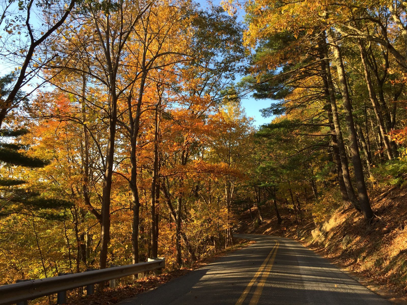 2016-10-30 17 17 15 View west along Virginia State Route 56 (Tye River Turnpike) just west of the Tye River Gap in Rockbridge County, Virginia
